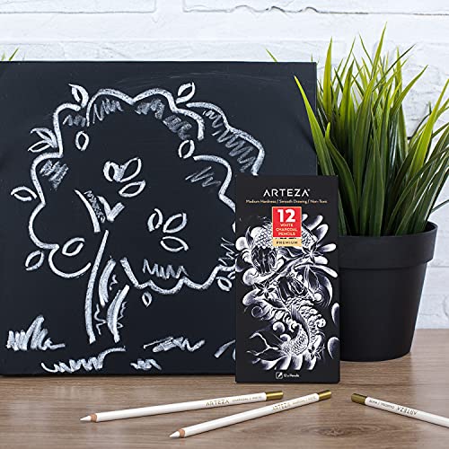ARTEZA White Charcoal Pencils, Pack of 12, Smooth Medium-Hard Sketching Crayons