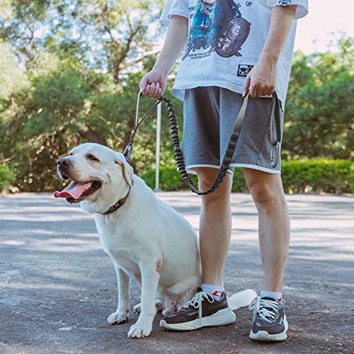 Excellent Elite Spanker Tactical Bungee Dog Leash Military Adjustable Dog Leash Quick Release Elastic Leads Rope With 2 Control Handle（Grey #TOP5