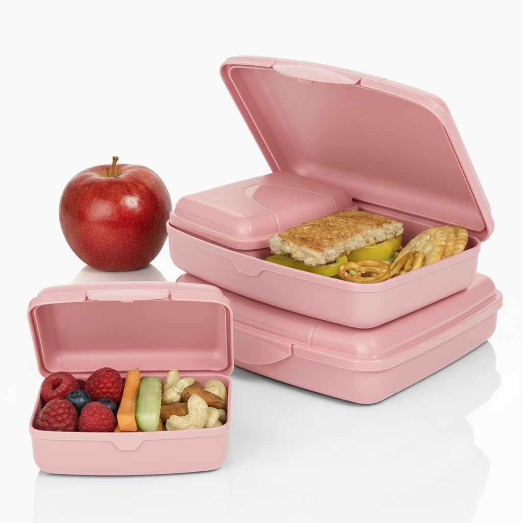 Sweeaau Boîtes à Déjeuner En Acier Inoxydable Pour Enfants Avec Compartiments - Boîtes à Petit