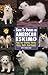 Guide to Owning an American Eskimo (Re Dog)