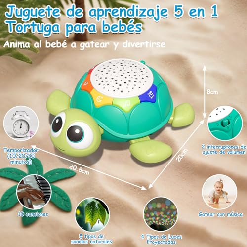 Miniatura 4 de Aragallant Juguete Gatear Bebe, Juguetes Interactivo Bebe, Juguete Bebes Con Música Y Proyector De Estrellas, Juego Gateo Para Baby Recién Nacido, Regalos De Cumpleaños Y Navidad