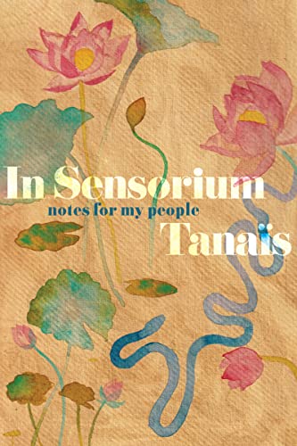 In Sensorium view 2