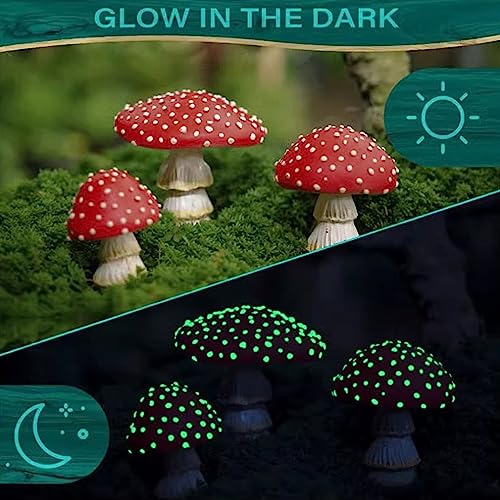 Decoración Exterior, Imagen adicional