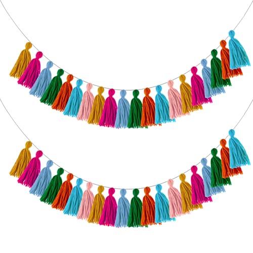 2 Pcs Boho Tassel Banner Rainbow Wall Hangings Colorful Fringe Garland for Classroom Office Birthday Graduation Party Wedding Bedroom Decoration (4 Inch Tassels)