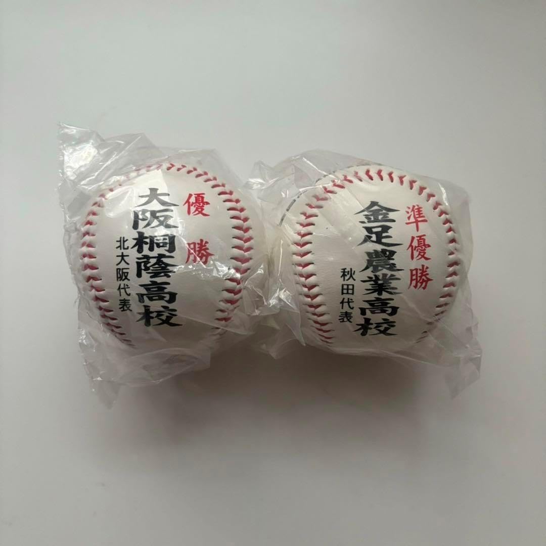 プロ野球　直筆サインボール投げ入れ用ボール　新垣選手ソフトバンクダイエーホークス プロ野球 直筆サインボール投げ入れ用ボール 新垣選手