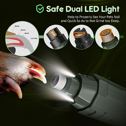 Gimars Krallenschleifer für Hunde 6-Gang Mit 2 LED-Licht, Superleise, 12000RPM Verstellbare Hunde Krallenschleifer mit USB, Geeignet für Katzen und Hunde, Armeegrün