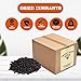 Currants, Natural USA Zante, Dried Seedless Grapes, Snack, Ingredient, Sweet, Tangy, Healthy, Super Food, Lucius, Mindful, packed in a 10 lbs. (160 oz.) bag/box By Presto Sales LLC