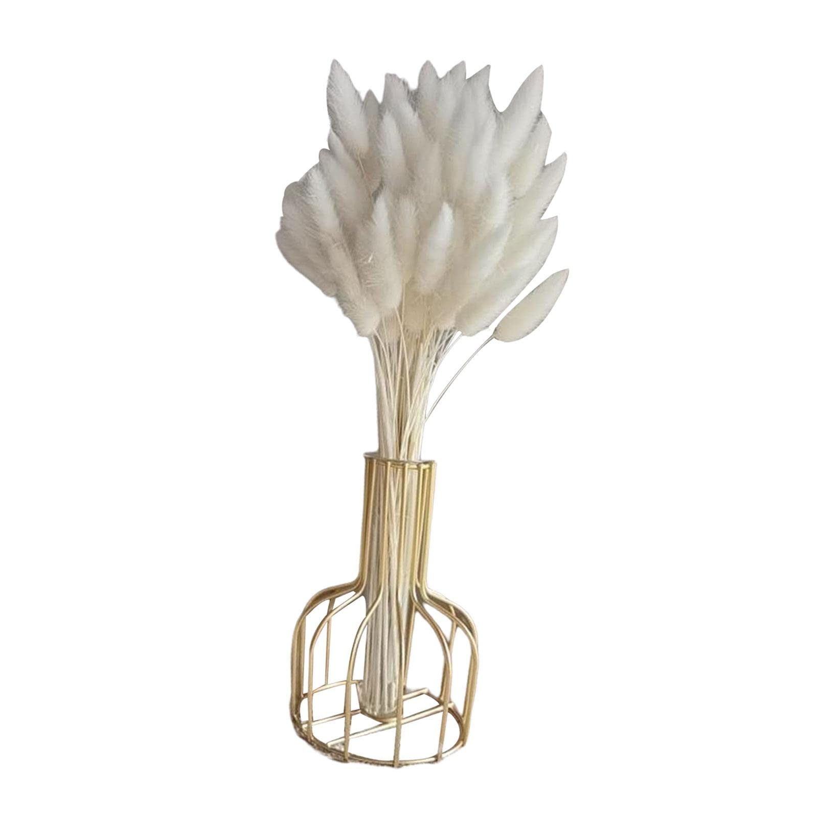 60 Pieces Dried Bunny Tail Grass Short Stems for Photograph Props Party Home White-image-35