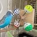 Custom Interactive Rotating Colorful Balls Toy for Birds, Budgies, Budgerigars, Parakeets, Parrots, Cockatiels, Parrotlets, Lovebirds, Conure, Caique, Lorikeet, exercise spinner wheel, playground