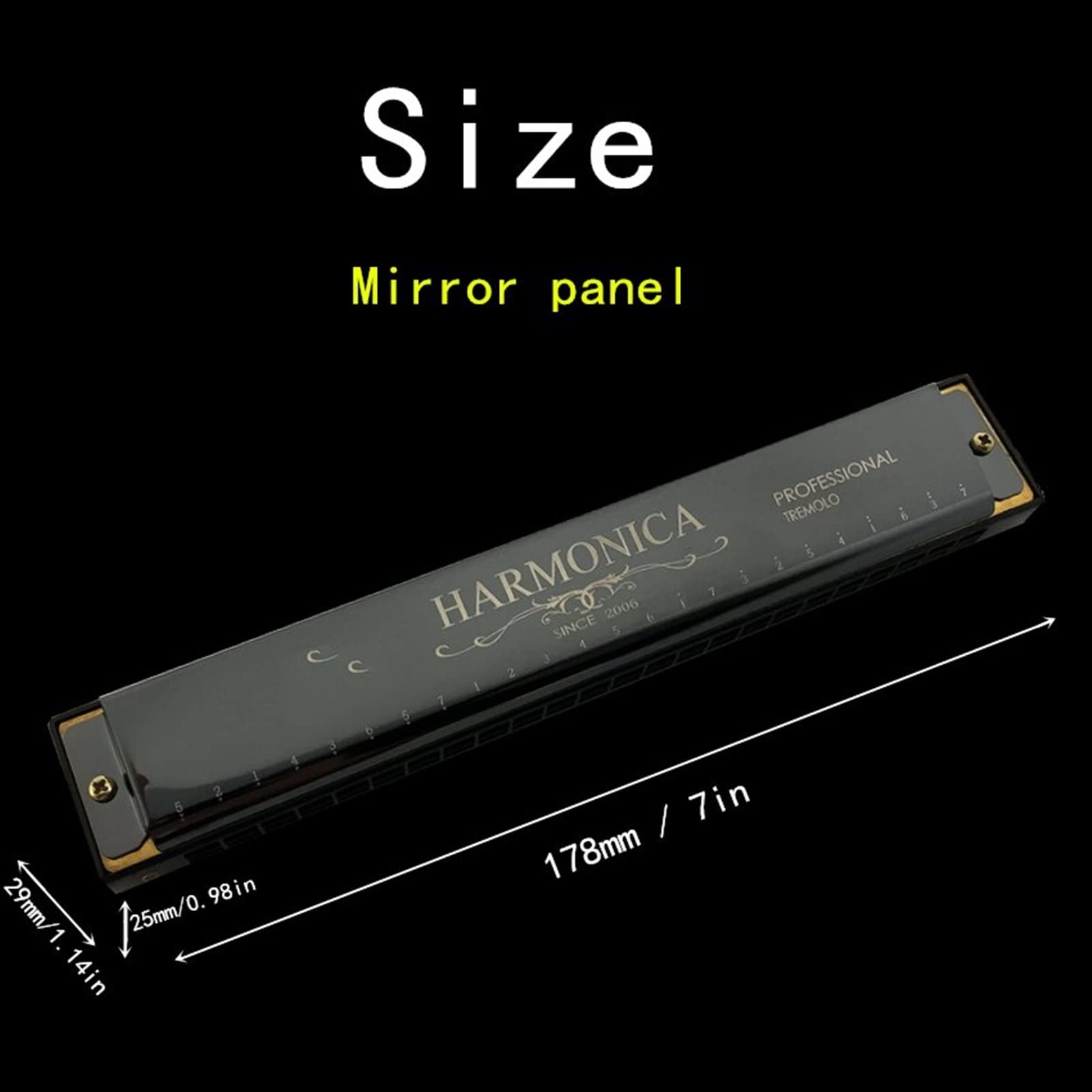 24 Buche Armonica Tremolo Armonica Armonica Chiave di C con Custodia Strumento Musicale A Fiato Armonica per Principianti (Color : 01)
