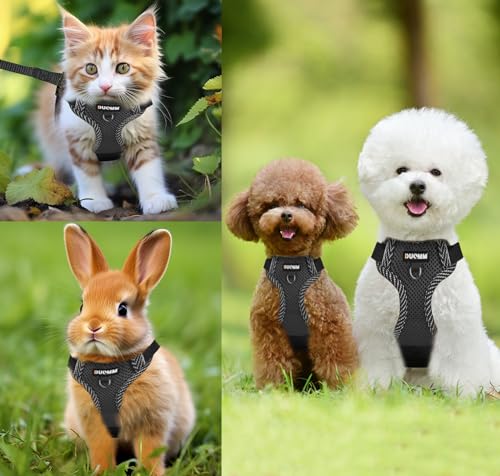 Katzengeschirr Mit Leine Set, Verstellbar Ausbruchsicher Mit Reflektierendem Geschirr, Atmungsaktiv Und Halsband Set für Hunde Und Katzen Auf Spaziergängen (XL)