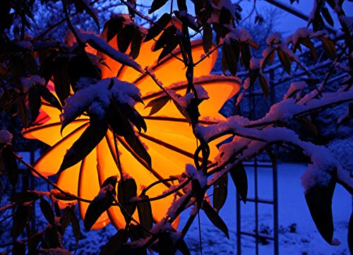 Barlooon wetterfester Garten Lampion Größe s gelb - 8