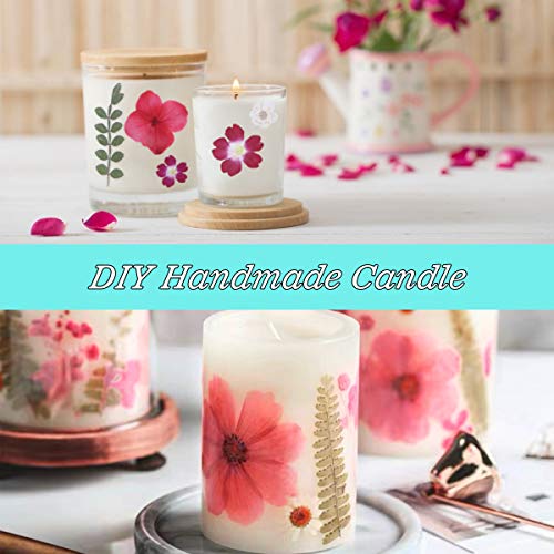 134 Stuks Echte Gedroogde Geperste Bloemen, Natuurlijke Bloemen Geperste Bloem Blad Voor DIY Hars Sieraden Maken Bloemen… - Afbeelding 7