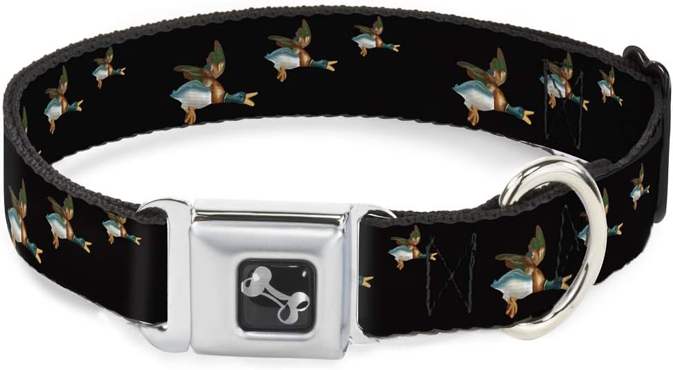 Dog Collar Seatbelt Buckle Flying Mallards Black 15 to 26 Inches 1.0 Inch Wide