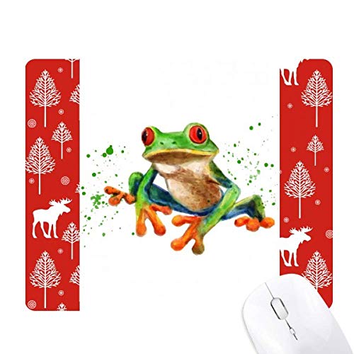 polypedatid�΂̃J�G�� �N���X�}�X�X��