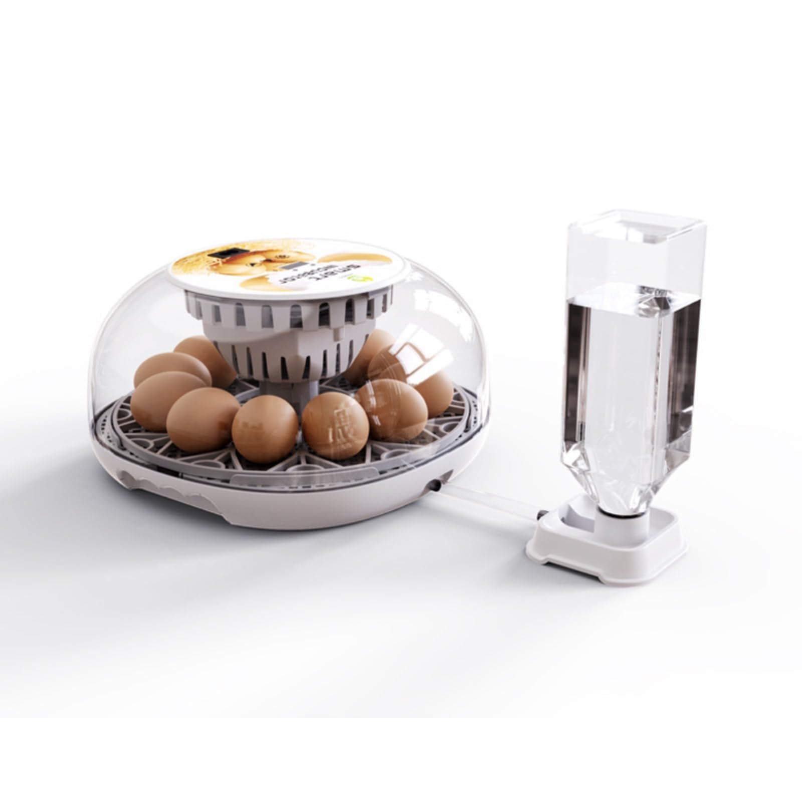 Incubatrice Automatica per Uova 12 Pezzi, Incubatrice Domestica Intelligente con Aggiunta d'Acqua Automatica, Controllo della Temperatura, Visiva, per Polli, Anatre, Oche e Uova di Piccoli Animali