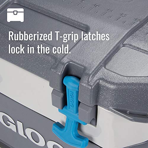 Image of Igloo BMX Cooler | Insulated Hard Shell Ice Chest