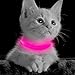 BSEEN Light Up Dog Collar, Rechargeable LED Dog Collar Glow in The Dark Cat Collar Reflective Puppy Collar Safety Dog Lights for Night Walking (Pink, XS)