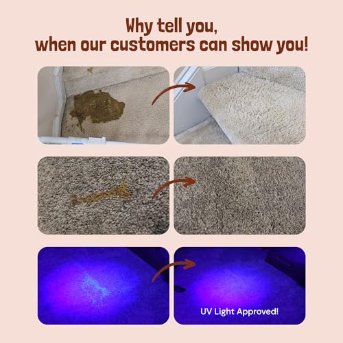 image for Sunny & Honey Pet Stain & Odor Miracle - Enzyme Cleaner for Dog Urine 