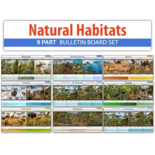Ecosystem posters éducatifs pour capter l'attention des élèves
