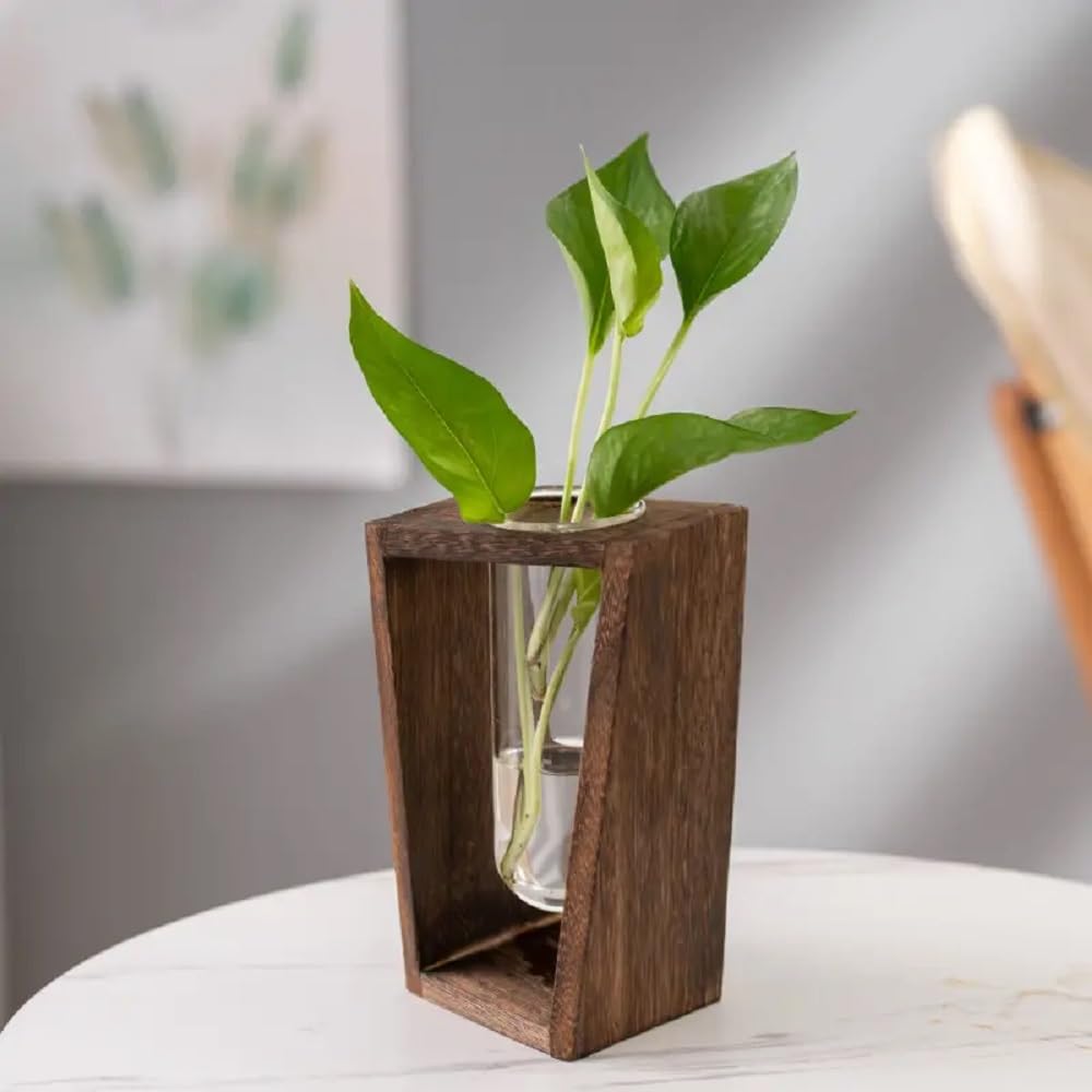JERN Glass Propagation Glass Test Tube Plant Stand Terrarium for Hydroponic Plants Home Garden Decoration (Dark 3) (B0CP25RNH4) Amazon Price History, Amazon Price Tracker