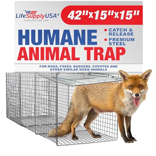 Best Fox Traps Tools and Strategies for Trapping Foxes