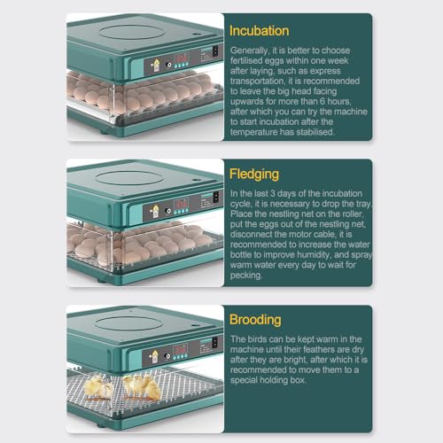 Incubadoras automáticas de ovos, incubadoras de ovos com virador de ovos/reabastecimento automático