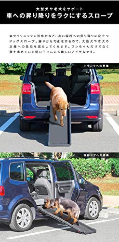 犬にはスロープと階段どっちが足腰に優しいのか 断然スロープです Zakionote ザキオノート