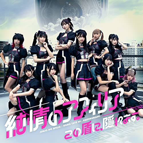 『この盾に、隠れます。』