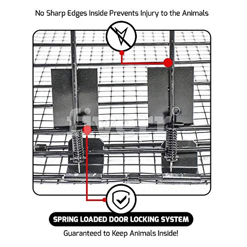Humane Way Folding 50 Inch Live Humane Animal Trap - Safe Traps for All Animals - Dogs, Raccoons, Cats, Groundhogs, Opossums, Coyote, Bobcat - 50"x20"x26" - Thumbnail 4