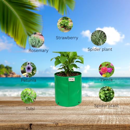 Image of HDPE Grow Bag 340 GSM UV Treated Plant Grow Bag 06x06 Inch - Pack of 10