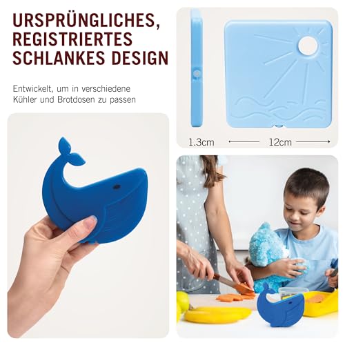 Kühlakku Set für Lunchboxen und Kühltaschen mit bunten Designs
