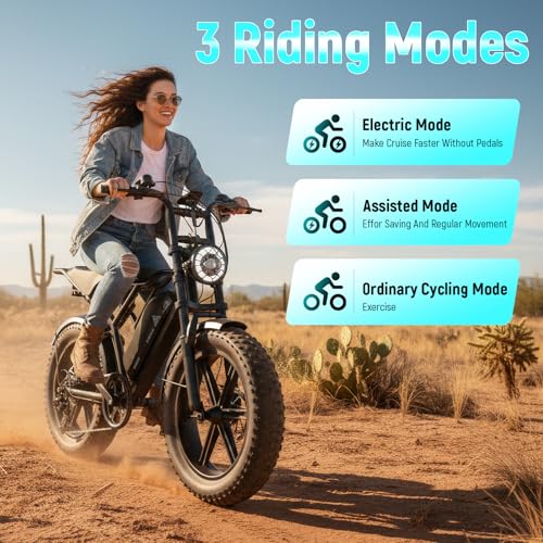 Image of TST Electric Bike for Adult, Up to 28 MPH and 60 /100 Miles Long Range E Bike, 20 inch Fat Tire E-Bike, 1500W Peak Motor, 48V 15Ah /25Ah Removable Battery, Dual Suspension (25Ah-Black)