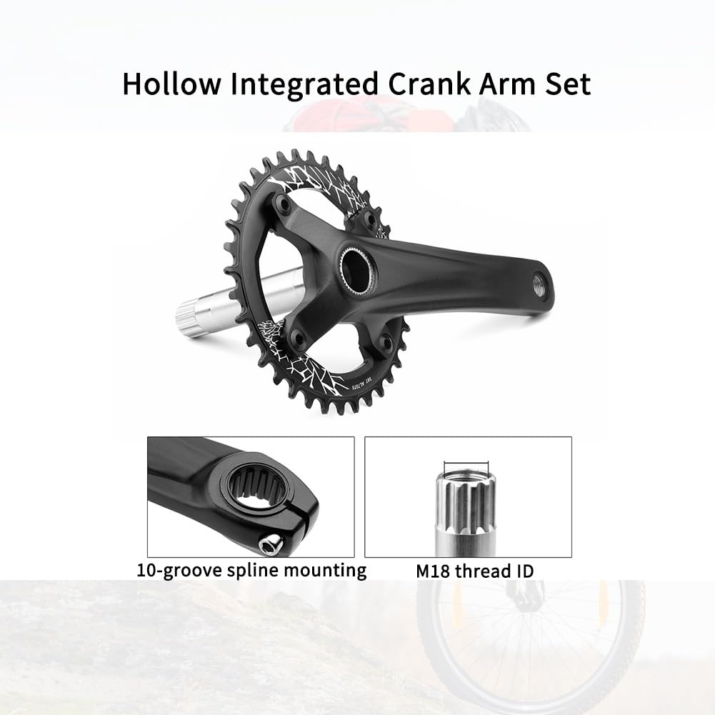 Guarnitura per mountain bike a velocità singola da 170 mm, guarnitura cava integrata 104 36T con corona rotonda e pedivella con movimento centrale BSA per 8/9/10/11/12 pollici in lega di alluminio