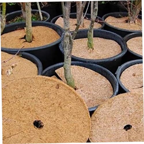 Reviews y listado de Cubierta de mulch para control de malezas los diez mejores. 18 Imagen adicional