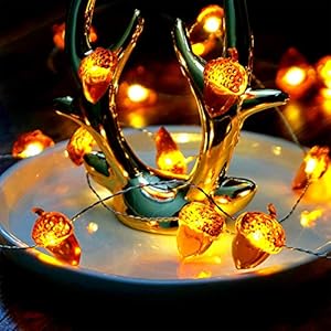 BOHON Thanksgiving Decorations Acorn Lights String 10ft 40 LEDs Fairy String Lights Battery Operated with Remote Fall Lights for Home Autumn Garland Bedroom Christmas Tree Halloween Party Decor BOHON Thanksgiving Decorations Acorn Lights String 10ft 40 LEDs Fairy String Lights Battery Operated with Remote Fall Lights for Home Autumn Garland Bedroom Christmas Tree Halloween Party Decor