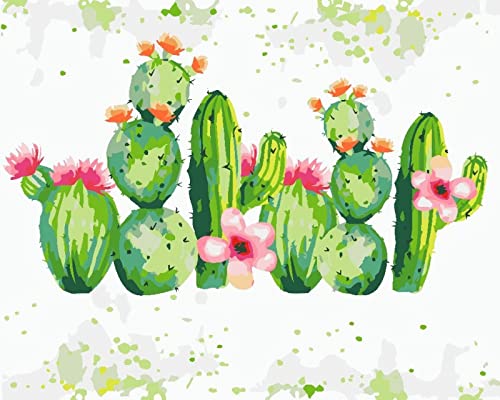 Peinture à broder au diamant motif cactus un cadeau amusant en 30x40