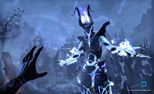 Bethesda The Elder Scrolls Online : Tamriel Unlimited