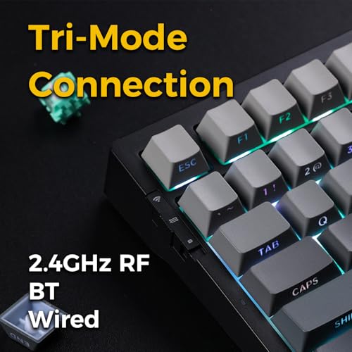 Image of G75 Pro Wireless Mechanical Keyboard, 75% Layout, Gasket Mounted, 5 Layers Dampening,RGB Backlit, 2.4GHz /BT /Wired Tri-Mode, Hot Swappable (Black, Matcha Latte)