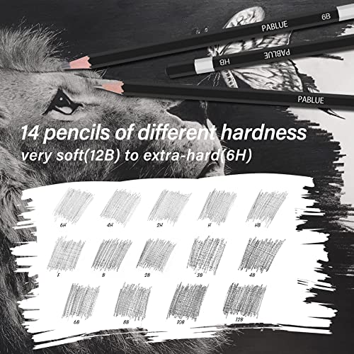 Pablue Professional Triangular Drawing Sketching Pencil Set,6H,4H,2H,H,Hb,F,B,2B,3B,4B,6B,8B,10B,12B Graphite Shading Pencils For Beginners,Proartists,Drawing,Drafting,Sketching,Shading(14 Pieces) #TOP4