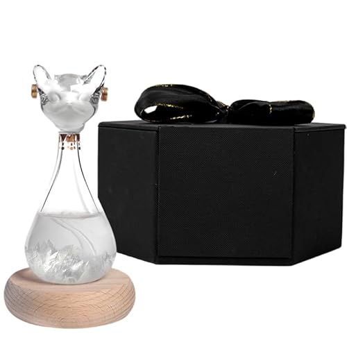 Kulangsu shop GWvgL NGCeBuNX^ Xg[OX VC\{g \J\ H|i ƒƃIt BX̍ KX u   ^  CeA a NX}X ̃v[g ؐ̑