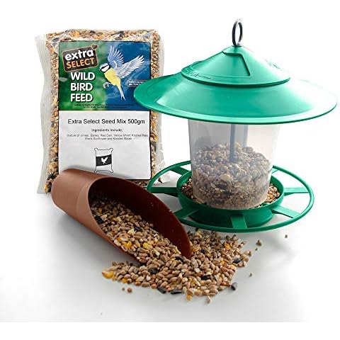 Etree Bird Feeder Hanging Garden Gift Set including Lantern Feeder, Seed Scoop and 500g of Extra Select Wild Bird Seed Cover