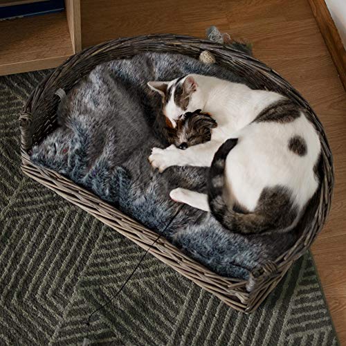 UNUS Hundebett Hundekorb Hundekörbchen aus Weide mit Kissen S für Hunde und Katzen grau 61 x 44,5 x 15,5 cm