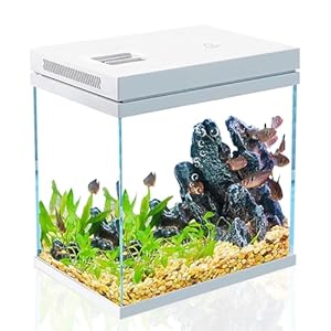 Fish Tank, Nano Glass Aquarium, Upgrade Filter System and LED Light, for Freshwater & Marine, Filter Balls Included (4 Gal)