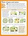 Patios: Designing, Building, Improving, and Maintaining Patios, Paths and Steps (Creative Homeowner) (Specialist Guide)