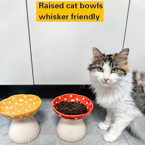 Pilz Futternapf Katze, Katzennapf Erhöht aus Keramik, Katzennapf für Katze Hunde Welpe Futter Und Wasser, Fressnapf und Wassernapf, schützt die Wirbelsäule des Haustiers (Schwarz)