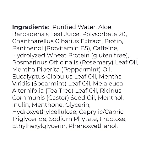 Derma-E Biotin Thickening Spray – Hair Volume Spray For Fine Hair – Protein-Enriched Hair Texturizer Spray With Panthenol, Therapeutic Mint And Chanterelle Mushroom, 3.3 Fl Oz #TOP2