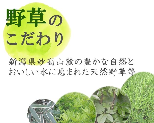 Amazon.co.jp: 補酵素のちから 1800ml キウイ 飲む酢 ビタミンB6 野草