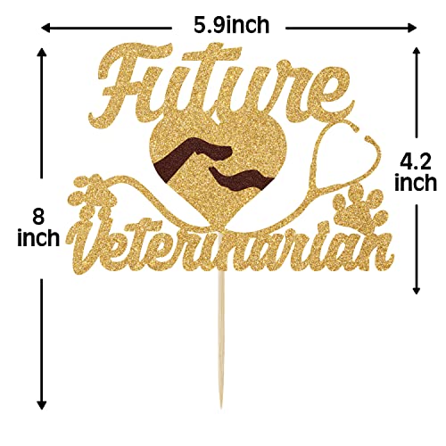 Future Veterinarian Cake Topper, Congrats Vet, Future Vet, Medical School Grad Decorations, Congrats Grad - image 5