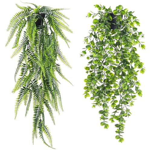 Der Rose 2 Pack Lighted Hanging Plants, Artificial String of Pearls Succulents with Warm LED Lights, Aesthetic Fake Plants for Black Bathroom Bedroom Living Room Wall Decor, Party & Gift for